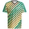 Officiële Voetbalshirt Jamaica Retro 2024 - Heren